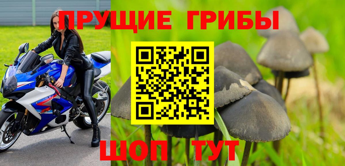 Псилоцибиновые грибы GOLDEN TEACHER  Галлюциногенные грибы Cubensis  Прокопьевск  Вход с VPN 
